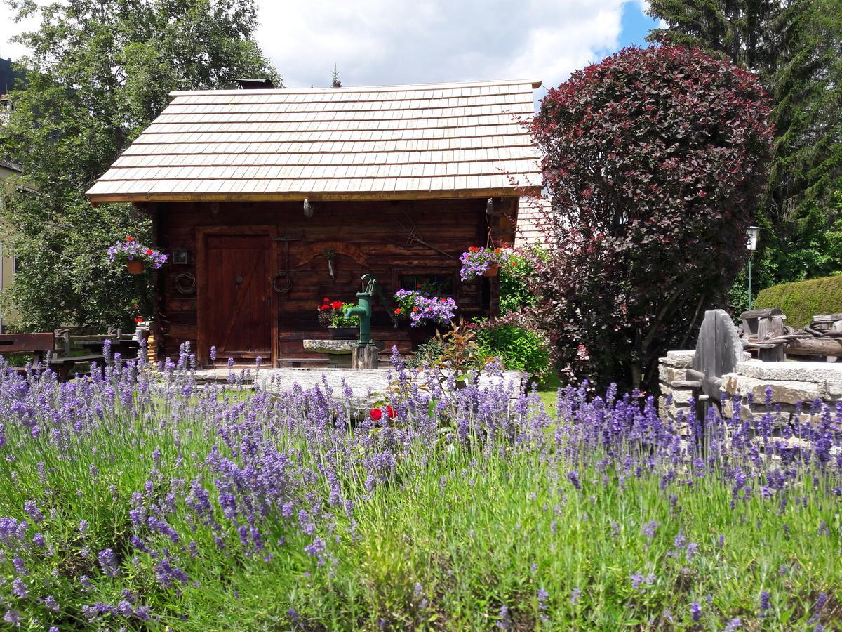 Hotel Stegmuehlhof Mauterndorf  Zewnętrze zdjęcie